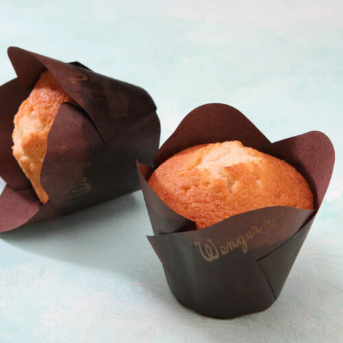 Muffin Plain